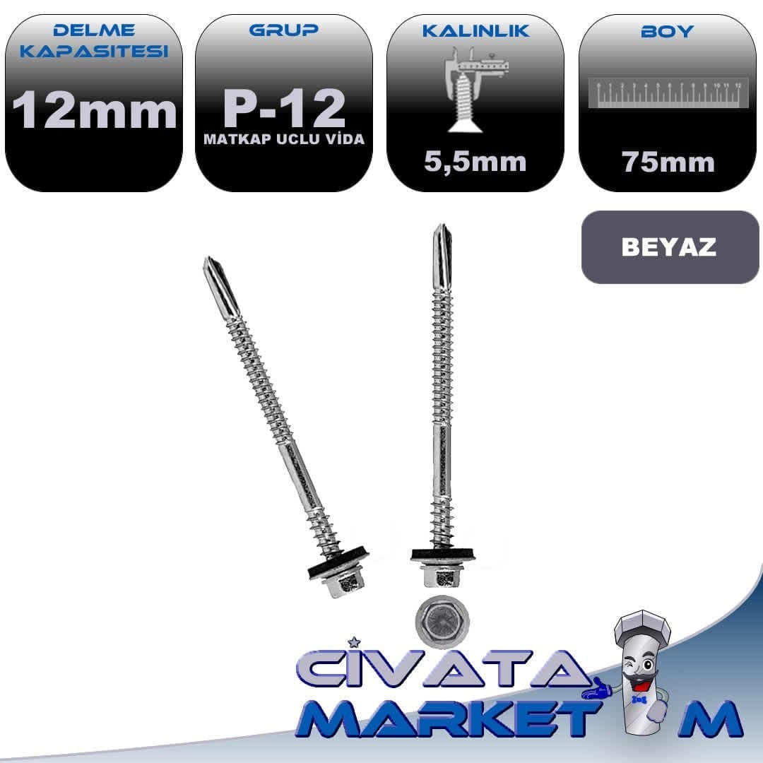 PANEL VİDASI 5,5*75 6 MM KAP. MRD