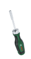 El Aletleri