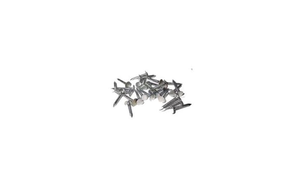 Shingle Çivisi 2,5 Cm