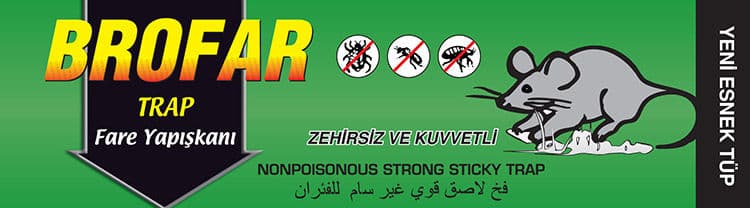 ASTRAP FARE YAPIŞKANI TÜP 125 ML
