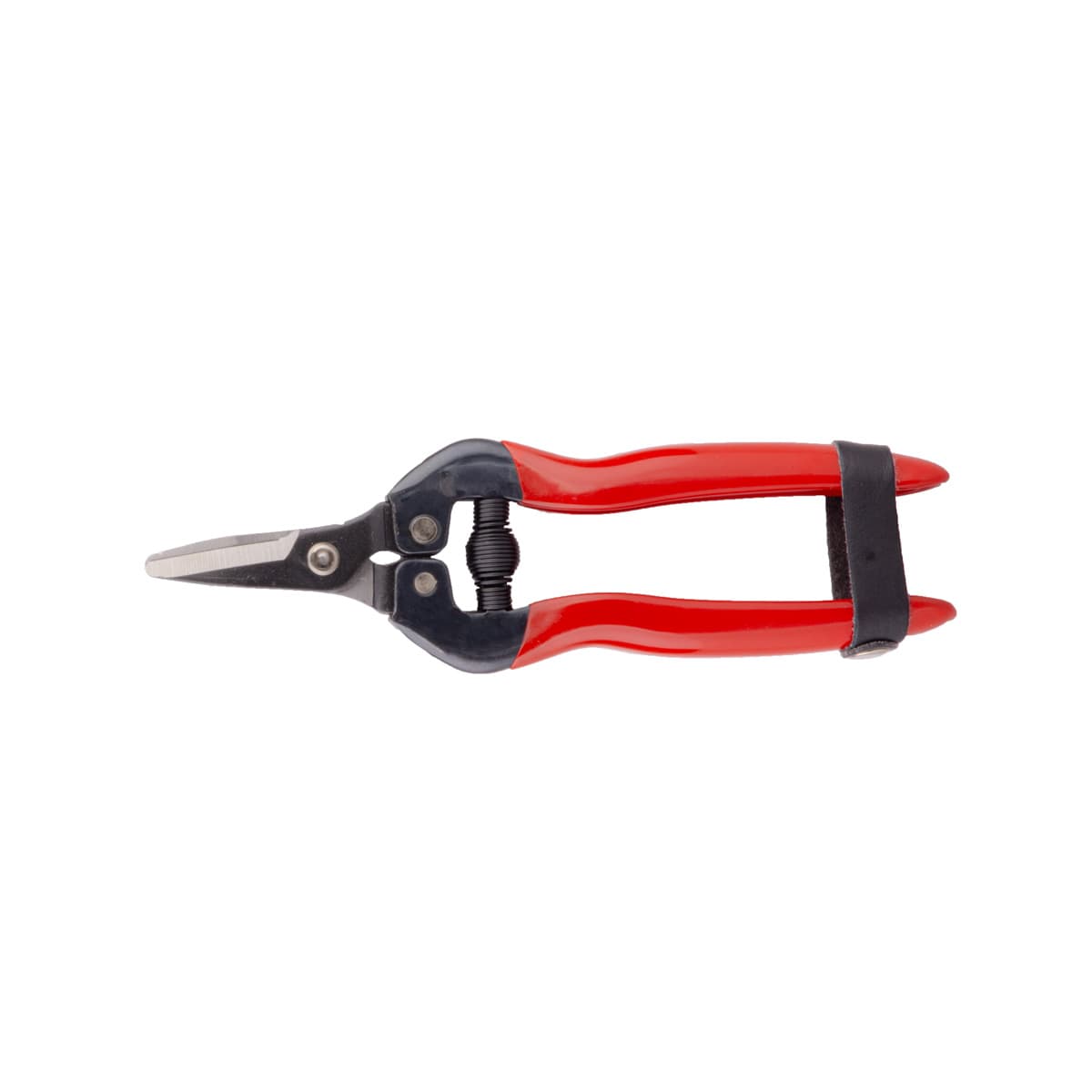PA-SP16C PALMERA MEYVE TOPLAMA MAKASI EĞİK ÇELİK SAP 3 MM KESME ÇAPI 16,5 CM