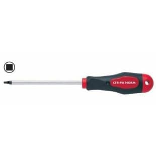 PROSOFT SQUARE TORNAVİDA SQ1X100 MM